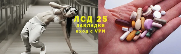 ГАЛЛЮЦИНОГЕННЫЕ ГРИБЫ Богданович