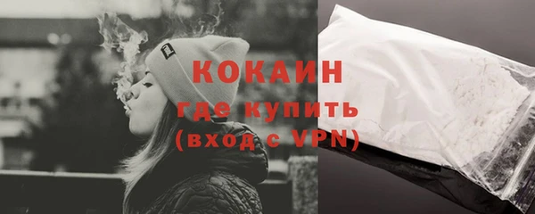 крисы Богородицк