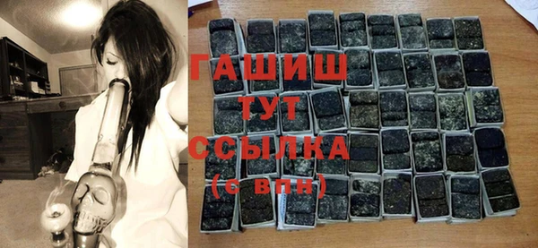 крисы Богородицк