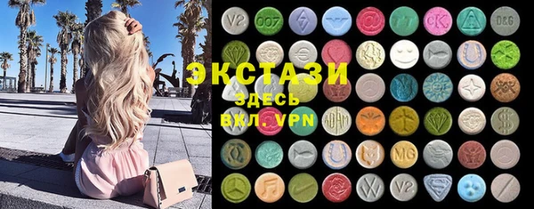 крисы Богородицк