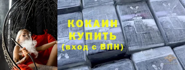 ГАЛЛЮЦИНОГЕННЫЕ ГРИБЫ Богданович