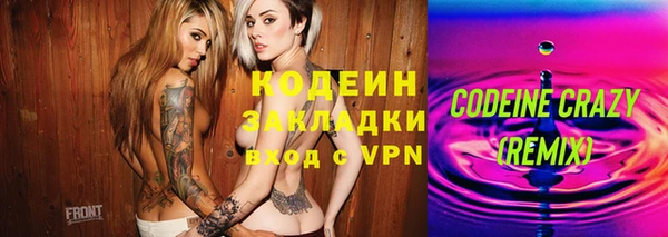 крисы Богородицк