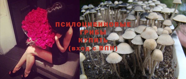 крисы Богородицк