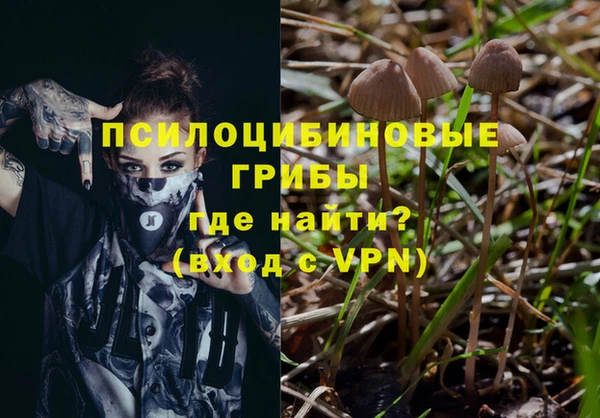 крисы Богородицк