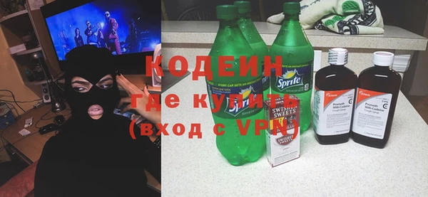 ГАЛЛЮЦИНОГЕННЫЕ ГРИБЫ Богданович